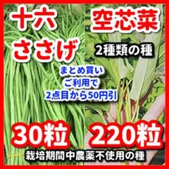 ★Yu★様 リクエスト 8点 まとめ商品