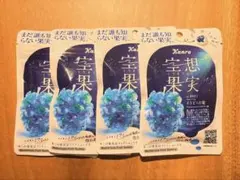 Kanro 空想果実 イトピスの実 グミ 4袋セットのサムネイル