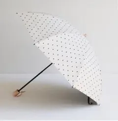 Item thumbnail for item 59278d28-e7dd-4ed2-85e8-2f713812eae1