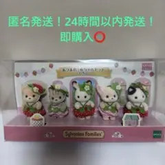 シルバニアファミリー いちごちゃんセット