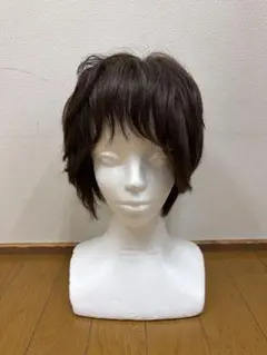 2026年最新】Artnature レディース ウィッグ ショートの人気アイテム