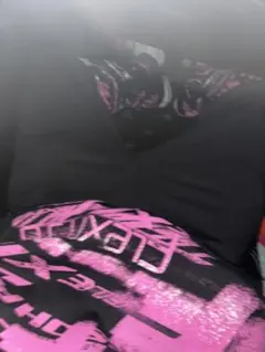 Ch2flexingsohard セットアップ (s)