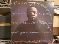 Curtis Mayfield『Never Say You Can't ～』