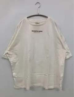 ホワイト半袖Tシャツ(earth music&ecology)(未使用に近い)