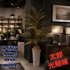 光触媒 人工観葉植物 ウォールグリーン フェイクグリーン アレカヤシ94