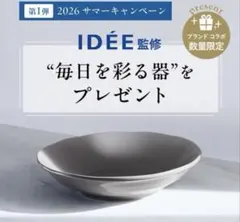 アテニアサマーキャンペーン⭐︎IDÉE 美濃焼 メインプレート 皿のサムネイル