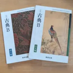 古典B 古文編＆漢文編　2冊セット