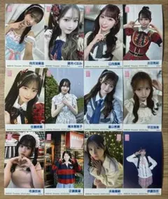 AKB48 12月 ピンポン球 チェキ風写真 2025年 向井地美音 他計12枚