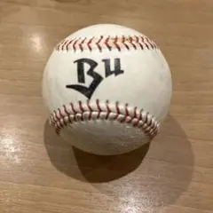 Item thumbnail for item 98c3f016-5b2d-4f16-86a9-2e08e46d8096