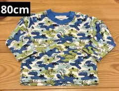 Item thumbnail for item 7e17cec5-5ea6-4f28-bc11-a2fbb1268a39