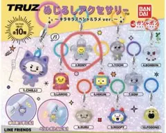 TRUZめじるしアクセサリー〜キラキラスペシャルラメver.〜★ROMY