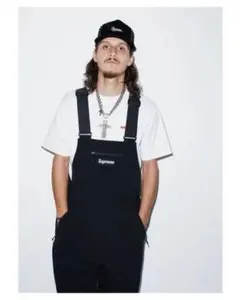 2025年最新】Supreme Polartec Overallsの人気アイテム - メルカリ