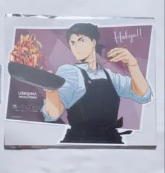 ハイキュー 大戸屋 ビジュアルボード 牛島