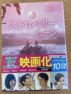 小説　ストロベリームーン