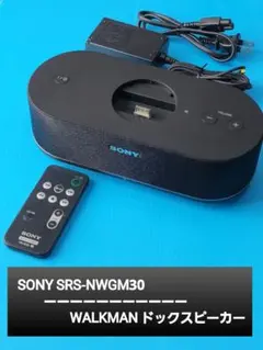 ウォークマン NW-S760シリーズ ドックスピーカー RDP-NWT17 - メルカリ