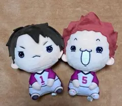 ハイキュー!!　もちぴこぬいぐるみセット