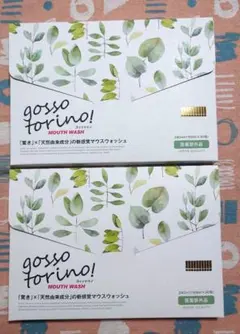 grosso torino! ゴッソトリノ ハーブミント 30包 2箱 - メルカリ