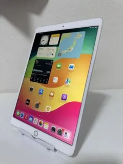 iPad Pro 10.5インチ 256GB Wi-Fi + セルラーモデル
