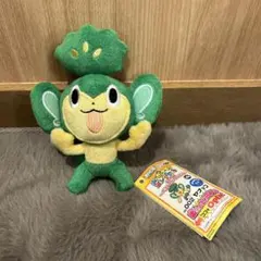 2025年最新】ぬいぐるみ my ポケモン コレクションの人気アイテム