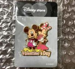ディズニー ピンバッジ ピンバッチ ディズニーストア チップとデール