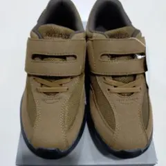 Item thumbnail for item 32f451a0-4bfa-4929-9d2b-3f19268f4767