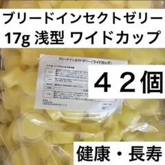 ４２個　ブリードインセクトゼリー ワイド 浅型　１７ｇ　健康・長寿　小動物おやつのサムネイル