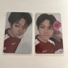 ホームレース ミーグリ スーレン トレカ