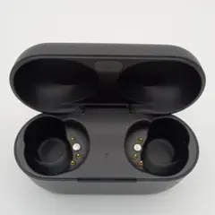 Technics EAH-AZ80 充電ケース ブラック