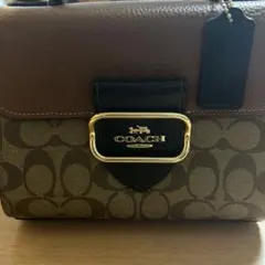 か*氷様 Coach ショルダーバッグ ブラウン/ブラック - メルカリ