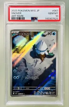 ユキカブリ　AR PSA10 ユキカブリ AR PSA10 - メルカリ
