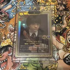 美品】ハリー・ポッター 01-003b SR 賢者の石 Part.1 - メルカリ