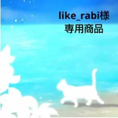 like_rabi様★専用商品★
