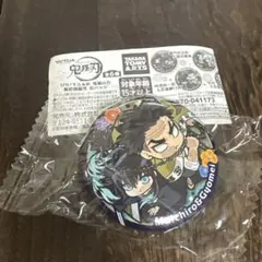 ぴた！でふぉめ 鬼滅の刃 無限城編弍 缶バッジ 竈門炭治郎&冨岡義勇 ②