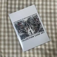 ヒロアカ 原画展 コレクションカードセット 来場者特典 入場特典 特典 チケット