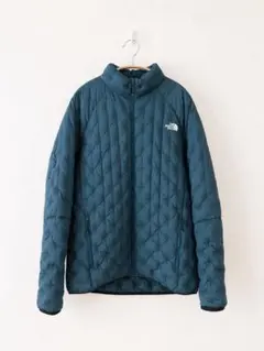 THE NORTH FACE ダウンジャケット ブルーのサムネイル