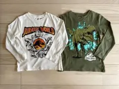 H&M ジュラシック・ワールド 長袖カットソー US 5/6 2枚セット　恐竜