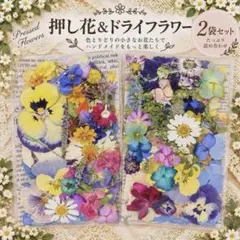 押し花＆ドライフラワー花びら♡フラワーパーツ1.2