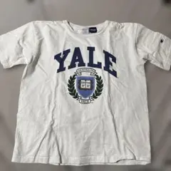YALE T1011 Tシャツ large アメリカ製 大人気ロゴ ivy 名門