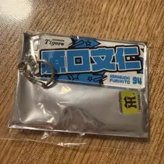 激レア❗【原口文仁】完売品グッズ＆非売品 まとめ売り バラ売り不可 値下げ不可 2026年最新】原口文仁の人気アイテム - メルカリ