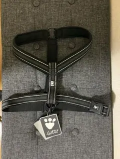 Item thumbnail for item d8322568-bbe8-4511-8a92-a56a3307d1f4