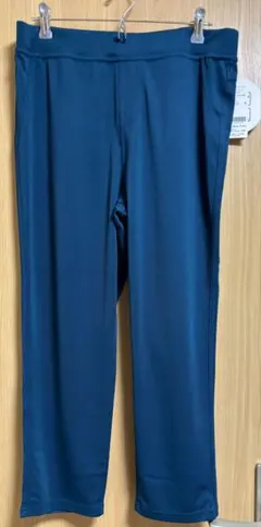 ターコイズ　かのこ素材　ひんやりレギンスパンツ　LL