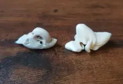 2026年最新】イルカ耳骨の人気アイテム - メルカリ