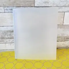 Item thumbnail for item 1773fe02-a257-48c1-88cf-7e828eb57b83