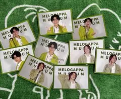 MELOGAPPA incubationツアーフォト バラ売り可 | Mercari