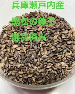 うーちゃん様 リクエスト 2点 まとめ商品