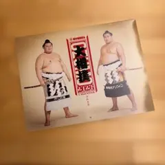 Item thumbnail for item 09a9d9d8-e4b0-49a4-84a3-521f65c62630