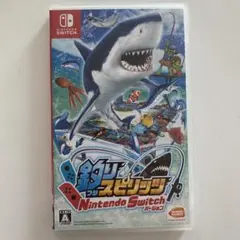 Switch 釣りスピリッツ⚠️ケースのみ