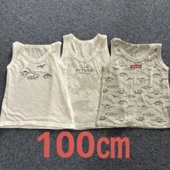 恐竜プリントタンクトップ 3枚セット 100cm