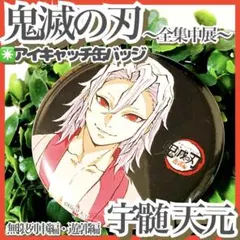 2025年最新】レリーフメタル缶バッジ 宇髄の人気アイテム - メルカリ