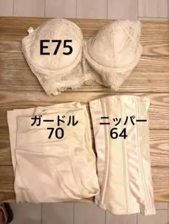 フォーシスアンドカンパニー ブライダルインナー3点セット - メルカリ